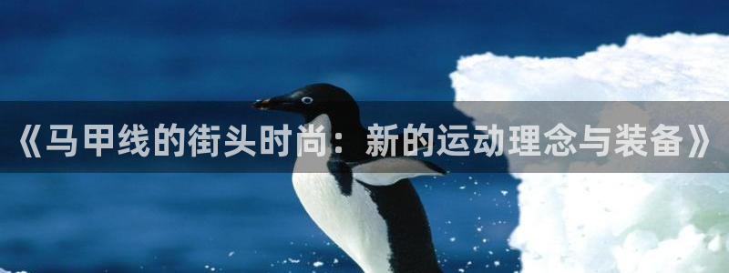 zoty中欧体育官网下载注册:《马甲线的街头时尚:新的运动理