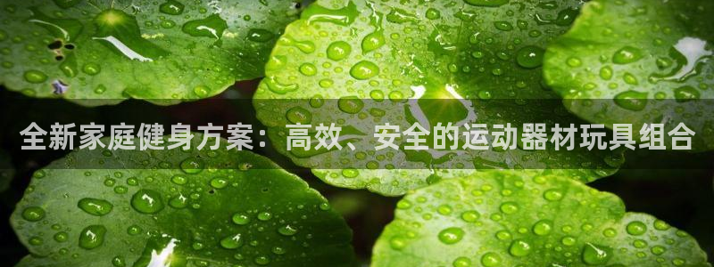 zoty中欧体育官网下载注册:全新家庭健身方案:高效、安全的