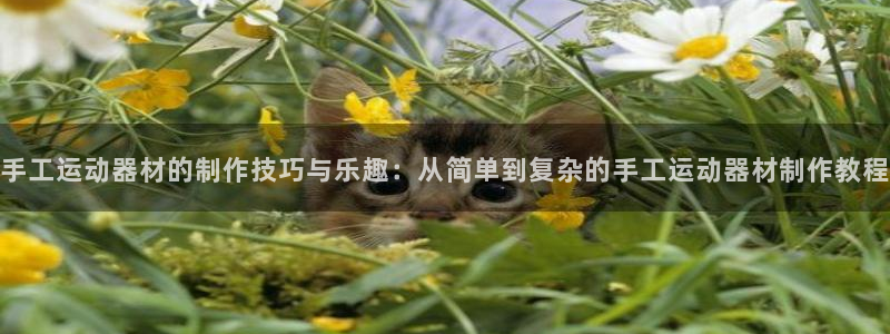 zoty中欧体育官网下载招商:手工运动器材的制作技巧与乐趣: